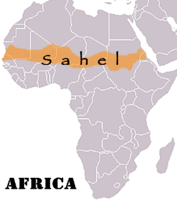 Cruz Roja anuncia que siete millones de personas están al borde del hambre en la región del Sahel