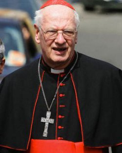 Cardenal Simonis: los movimientos son una bendicin para la Iglesia y para cada pas