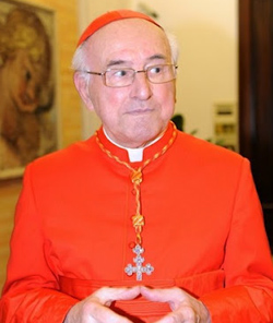 Cardenal Brandmüller: «No se puede decir que se está ayudando al Papa mientras se cometen crímenes»