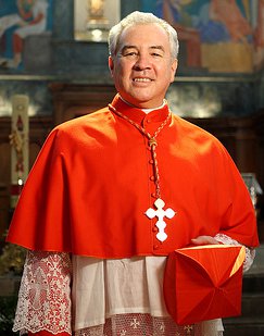 Los obispos mexicanos eligen al Cardenal Robles como presidente de su Conferencia Episcopal