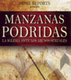 La Santa Sede presentar en breve un informe preliminar sobre la prevencin y combate contra los abusos sexuales