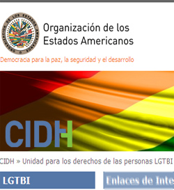 La Comisin Interamericana de Derechos Humanos pide leyes de proteccin especial de LGBT

