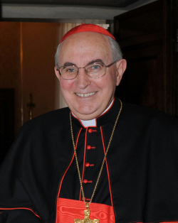El cardenal Vallini anima a los fieles a participar en la ltima audiencia general del Papa