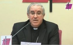 La CEE presenta un documento sobre vocaciones sacerdotales para el siglo XXI