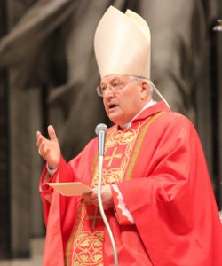 Cardenal Sodano: «Cada uno de nosotros está llamado a cooperar con el sucesor de Pedro»