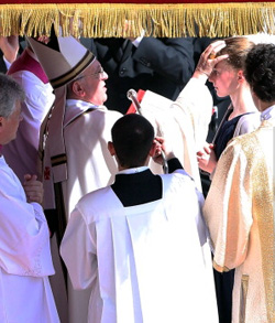 Confirmados por el Papa Francisco en el Año de la Fe