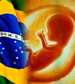 Los obispos de Brasil critican nueva ley  por facilitar el aborto
