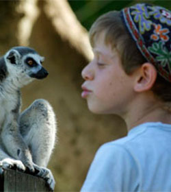 Zoolgico de Jerusaln: ms de 20 aos preservando las especies bblicas