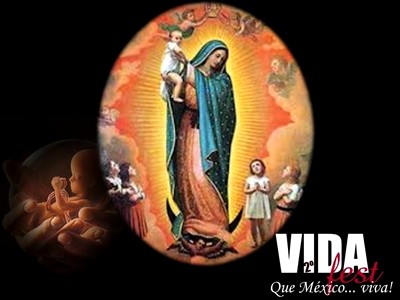 «Vida Fest». Gran festival por la Vida en México para sensibilizar sobre el aborto