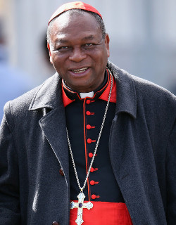 El cardenal Olorunfemi advierte que no basta el uso de las armas para combatir a Boko Haram