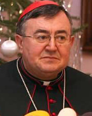 El cardenal Puljić asegura que los disturbios en Bosnia son «hijos de las elecciones del 2012 y los acuerdos de Dayton»
