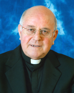 Mons. Ricardo Blázquez: «necesitamos que se nos anuncie diariamente el evangelio»