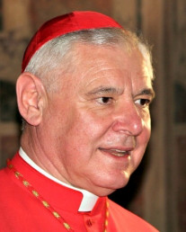 El cardenal Mller recuerda que sus palabras sobre la familia son Magisterio y no lo son las opiniones particulares de los cardenales