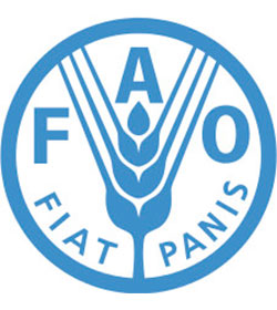 El Papa participará en la próxima Conferencia Internacional sobre Nutrición de la FAO