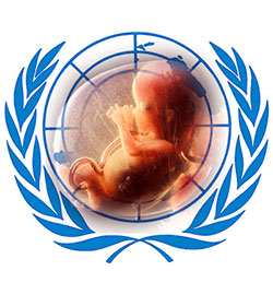 La ONU recomienda a Chile y a Per incluir el incesto y la violacion como justificantes del aborto