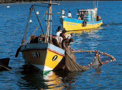 La Santa Sede llama a tomar conciencia de las  dificultades a las que se enfrentan los hombres que trabajan en el mar