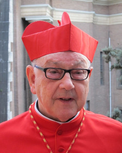 Cardenal Sebastin: la Iglesia no puede ni va a cambiar la doctrina sobre la familia