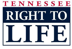 Tennessee aprueba una reforma constitucional que abre la puerta a restricciones legales al aborto