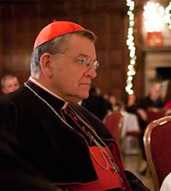 Cardenal Burke: la reforma litrgica fue muy radical, incluso violenta