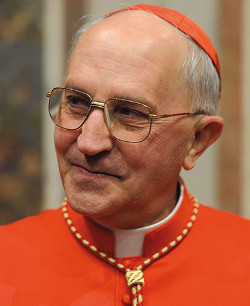 El Papa vuelve a enviar al cardenal Filoni a Irak para mostrar su cercanía a los cristianos perseguidos