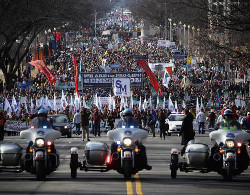 Doscientas mil personas en la Marcha por la Vida y contra el aborto celebrada en Washington