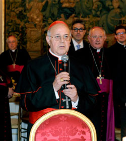 El Cardenal Blzquez aboga por que la Iglesia colabore en erradicar la pederastia