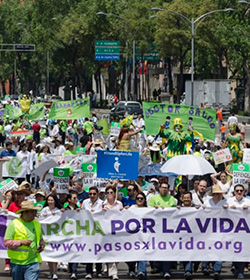 Organizaciones de Mxico realizan la 4 Marcha por la vida