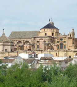 Podemos se une al resto de la izquierda para intentar robar a la Iglesia la Catedral de Crdoba y otros bienes