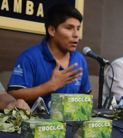 Los cocaleros bolivianos piensan regalar al Papa sus productos cuando visite el pas