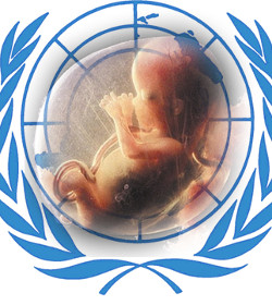 Organizaciones provida de todo el mundo piden a la ONU que no admita el aborto como derecho