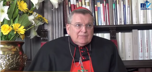 El cardenal Burke asegura que la mejor forma de servir al Papa es defender la enseanza de la Iglesia