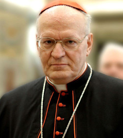 El cardenal Erdo asegura que  la existencia misma de la familia y su identidad estn en peligro