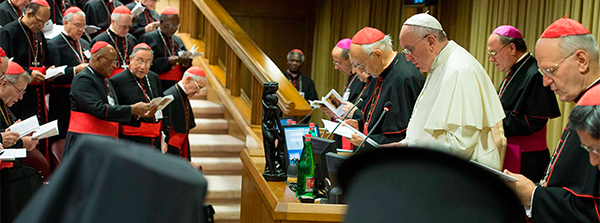 Carta de trece cardenales al Papa sobre el desarrollo del sinodo