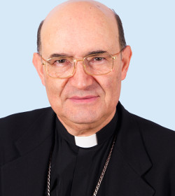 Mons. Fidel Herrez, nuevo arzobispo de Burgos