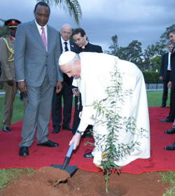 El Papa planta un rbol en la sede de la ONU en Nairobi