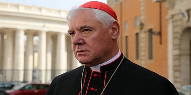 El cardenal Müller denuncia el totalitarismo de quienes imponen la ideología de género