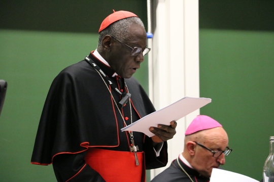 Cardenal Sarah, prefecto para el Culto Divino, sugiere celebrar cara a Dios a partir de Adviento