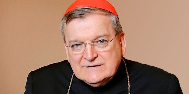 Burke recuerda que va contra la fe si alguien, incluido el Papa, dice que se puede comulgar en pecado grave
