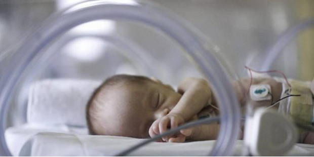 Austria permitir inscribir en el registro civil a los bebs fallecidos que pesaron menos de 500 gramos al nacer