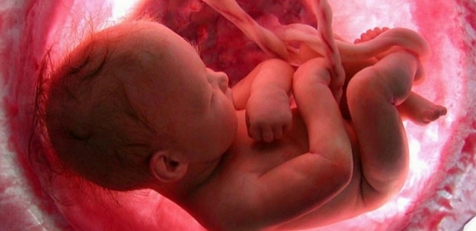 La prohibición casi total del aborto en Luisiana puede entrar en vigor