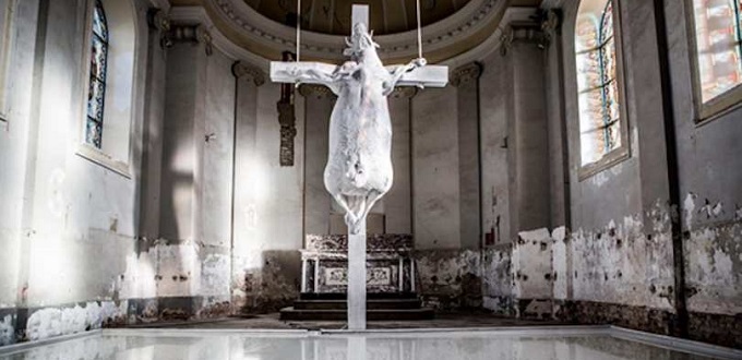 Vaca cruficicada en exhibicin en el centro de una iglesia catlica belga