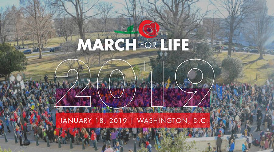 «Único desde el primer día: Ser provida es ser prociencia»: imponente lema de la March for Life 2019