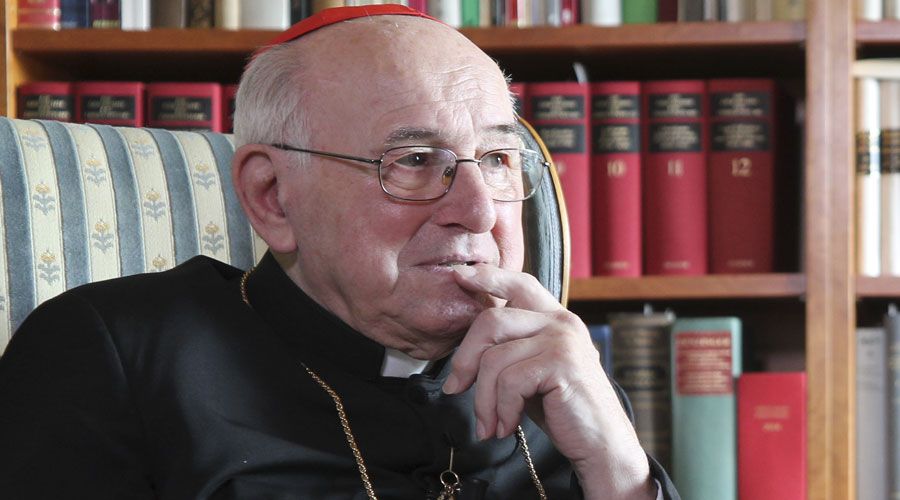 Cardenal Brandmller: la homosexualidad y el abuso sexual sacude la Iglesia, por no decir que la ha hecho caer incluso en una especie de shock