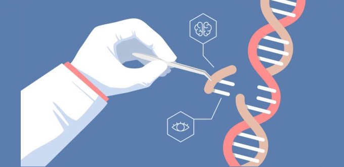 El I Comité de Bioética de España rechaza el uso de la técnica CRISPR en humanos