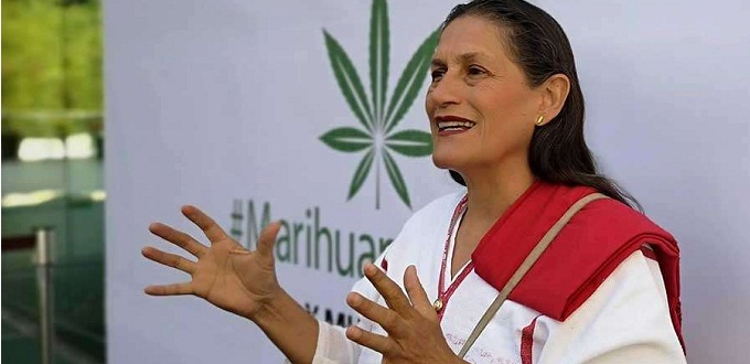 Insulta a católicos y exige respeto para la marihuana por ser una «planta sagrada»