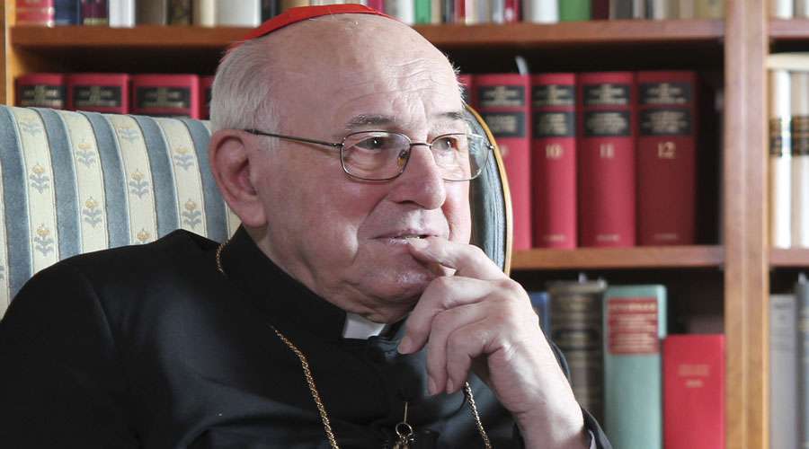 Cardenal Brandmüller: el Sínodo para la Amazonia es una estratagema para la «reestructuración radical» de la Iglesia