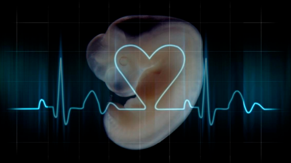 Presentan en Argentina un proyecto de ley para impedir el aborto cuando se detecte el latido del corazón del feto