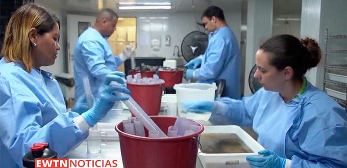 La Iglesia llam a los bolivianos a colaborar para detener la propagacin del dengue