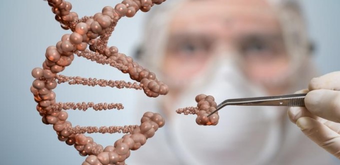 Es «abuso infantil» para los científicos editar genéticamente embriones humanos y luego destruirlos