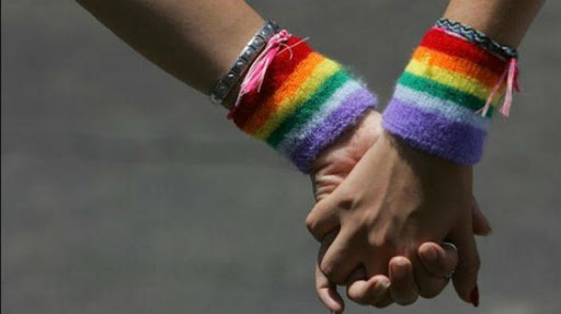 Argentina: proponen que se instituya el 7 de marzo como Da Nacional de la Visibilidad Lsbica